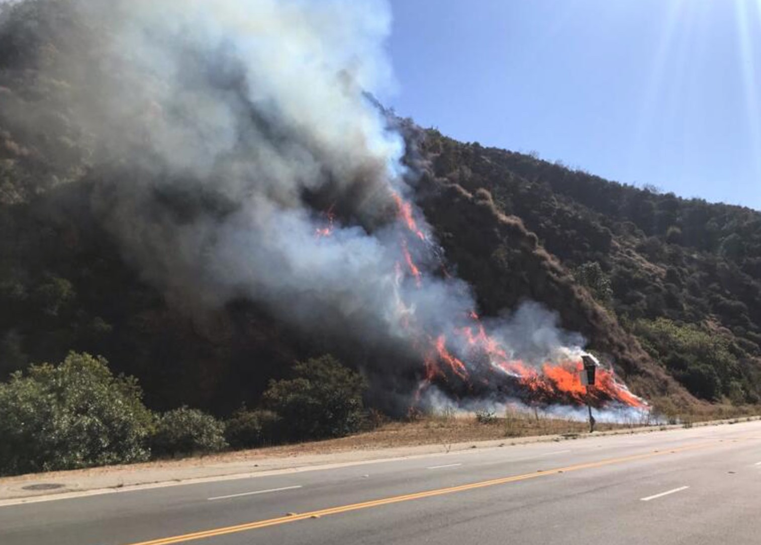 Palisades Fire Start Circling The News