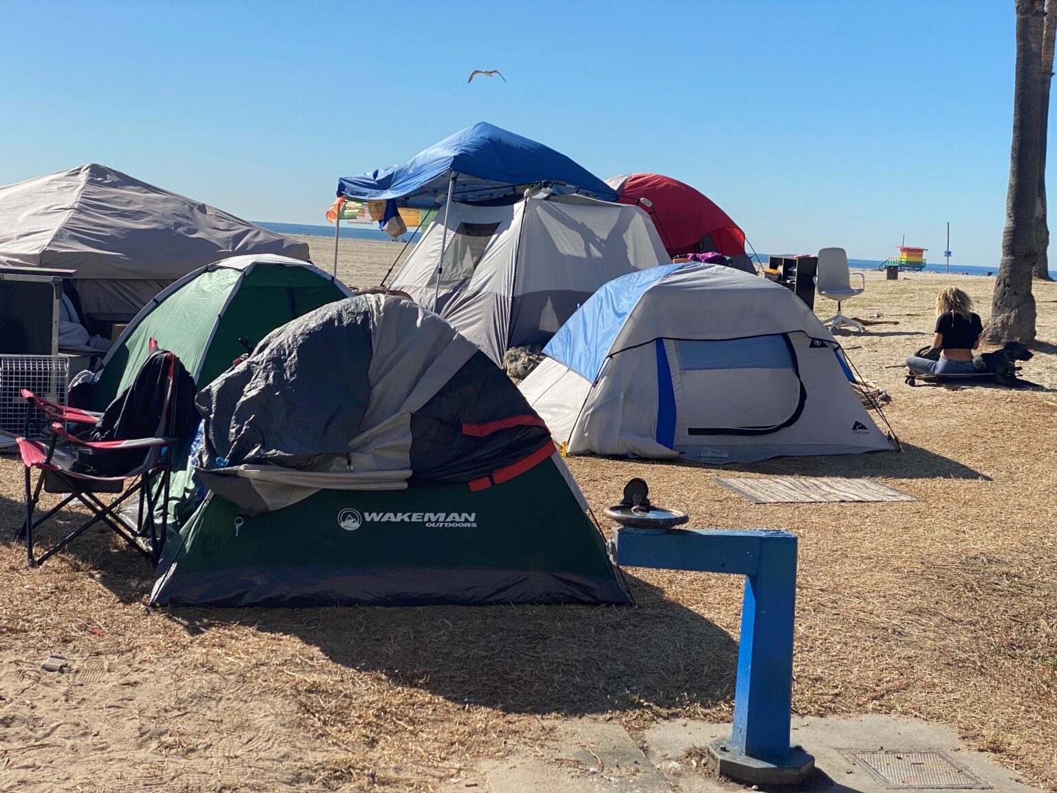 Property Values in Venice Go Down Circling The News