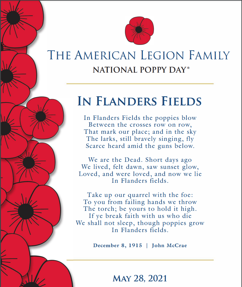 National Poppy Day 2023: What the red flower represents
