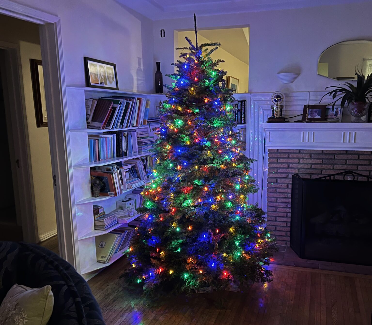 How to Recycle a Christmas Tree Circling The News