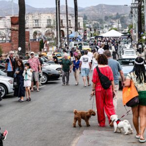 Crowd of people walking along a street lined with parked classic cars at a street festival; two small dogs on leashes in foreground.